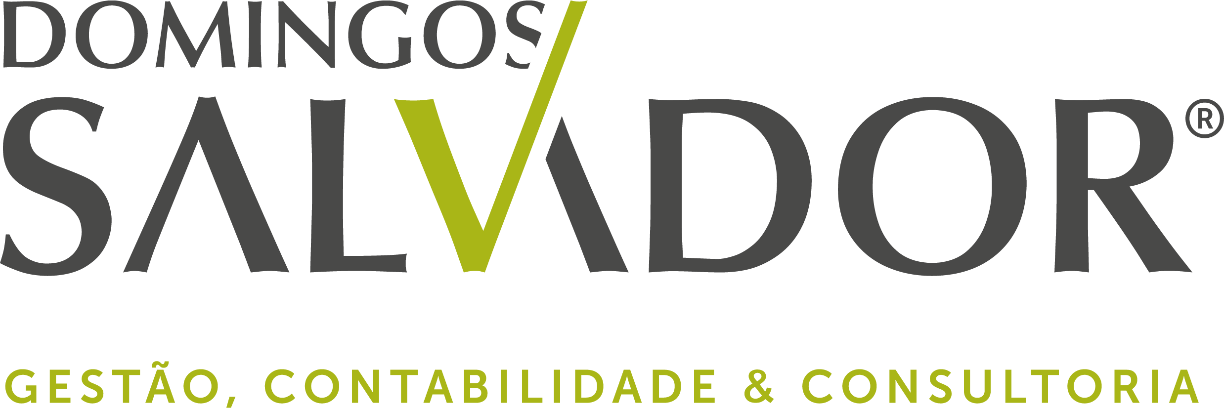 Domingos Salvador - Gest&atilde;o, contabilidade e consultoria