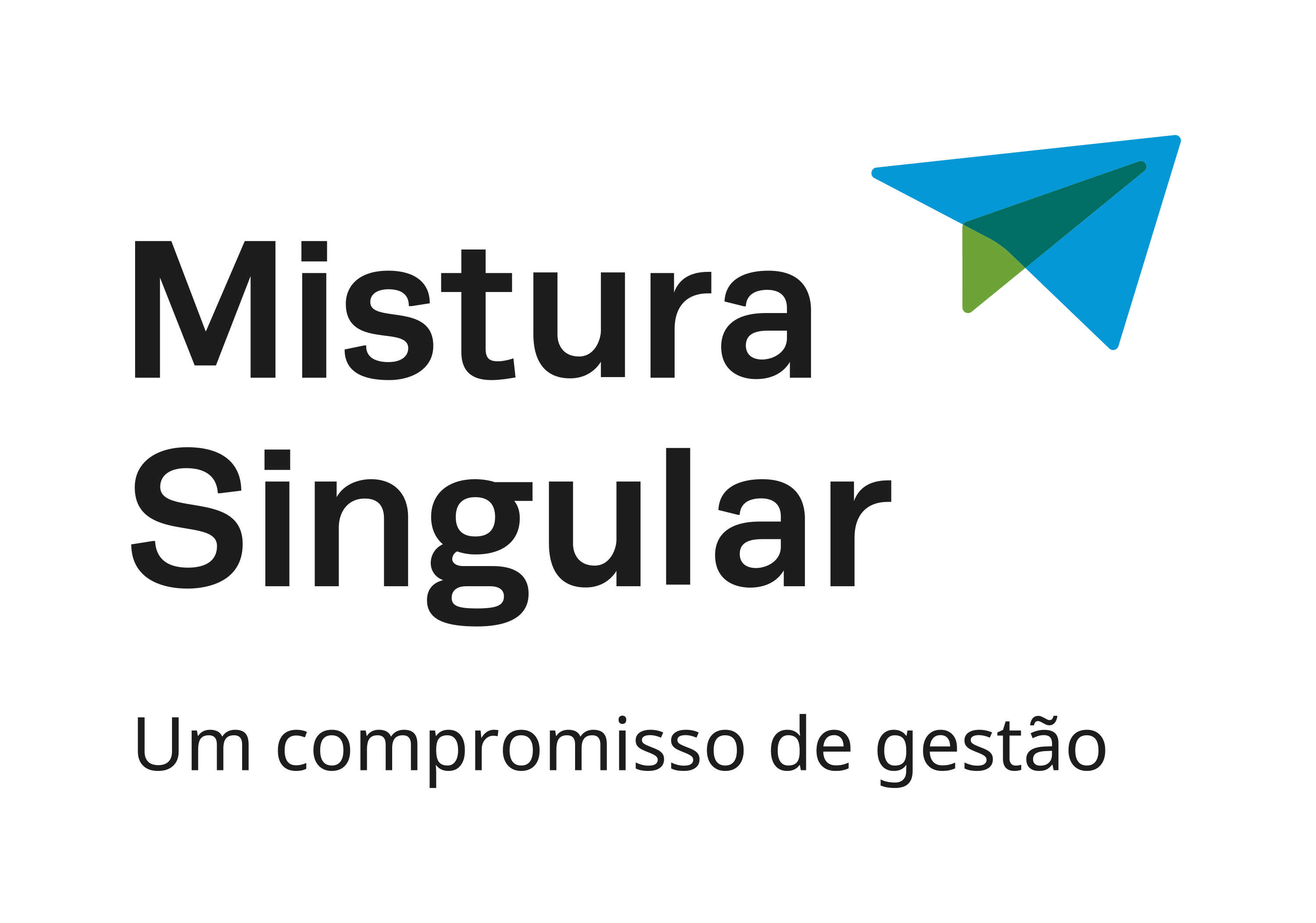 Mistura Singular - Capital, S.A.
