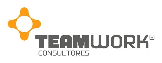 Team Work Consultores Lda